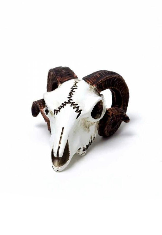 Alchemy England - Rams Skull Miniature - Statue Amazon Online