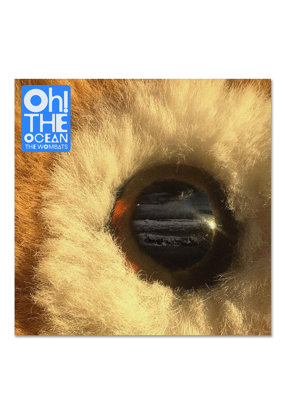 The Wombats - Oh! The Ocean Ltd. Cloudy Clear Indie Exclusive - Colored Vinyl Free Shipping Pick A Best