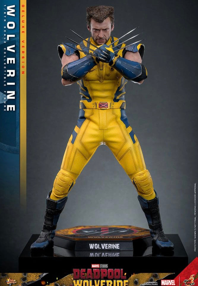 Wolverine - Wolverine (Deluxe Version) 1/6 Movie Masterpiece - Figure Clearance Cost