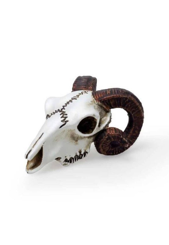 Alchemy England - Rams Skull Miniature - Statue Amazon Online