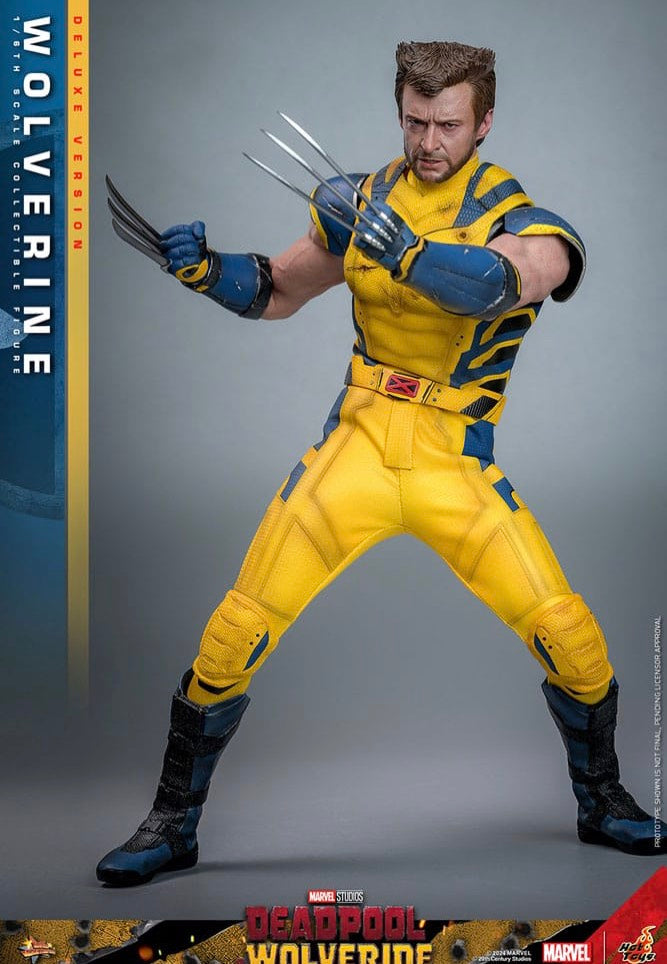 Wolverine - Wolverine (Deluxe Version) 1/6 Movie Masterpiece - Figure Clearance Cost