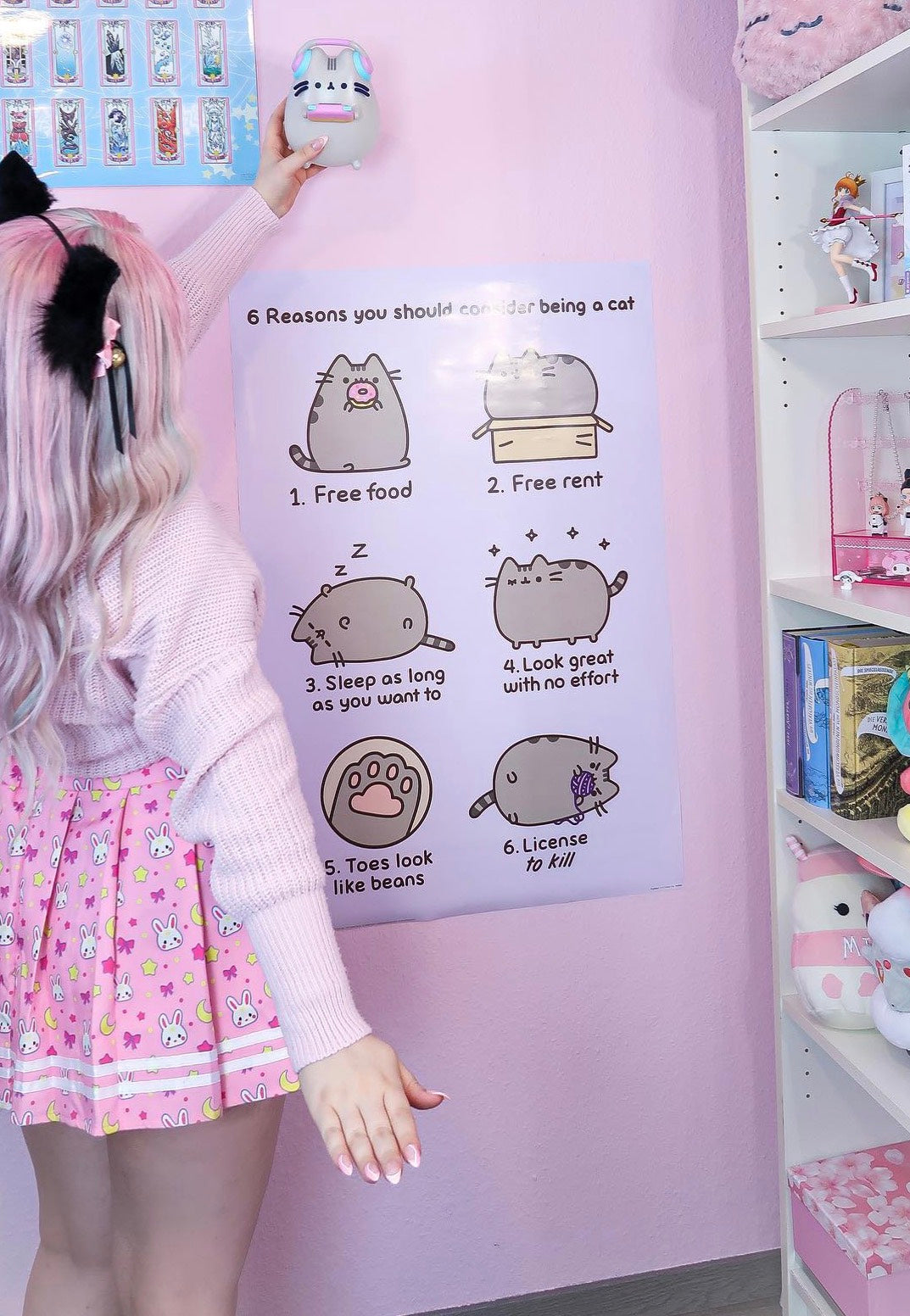 Pusheen - Reasons To Be A Cat - Poster Buy Cheap Explore