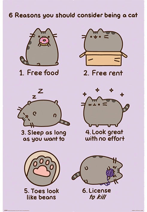 Pusheen - Reasons To Be A Cat - Poster Buy Cheap Explore