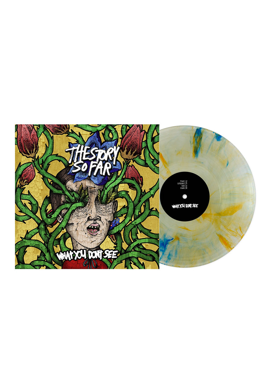 The Story So Far - What You Don't See Ltd. Tide Pod - Marbled Vinyl