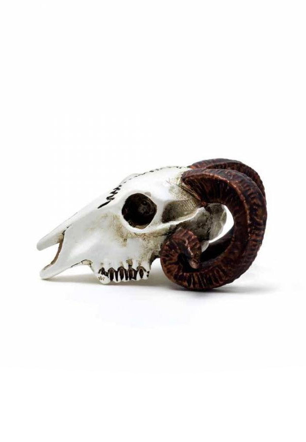 Alchemy England - Rams Skull Miniature - Statue Amazon Online