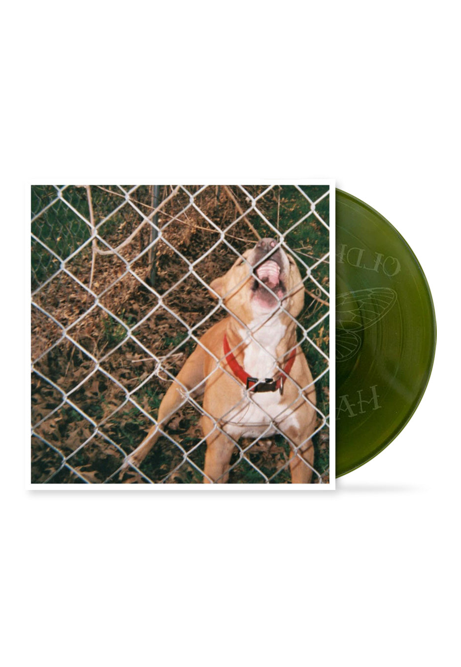 Knocked Loose - Pop Culture EP Swamp Green - Colored LP Free Shipping Outlet Store