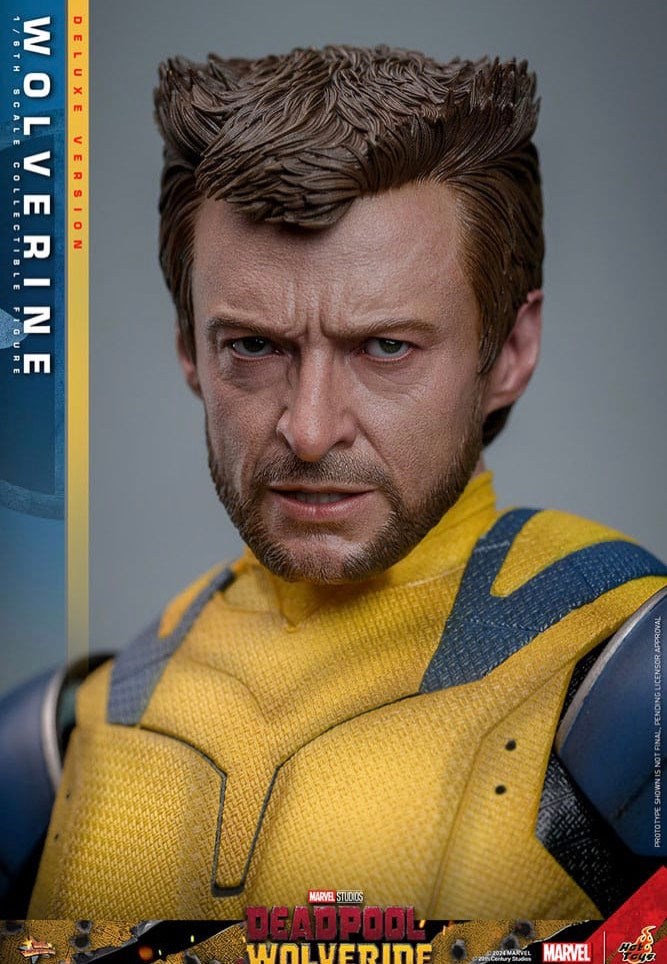 Wolverine - Wolverine (Deluxe Version) 1/6 Movie Masterpiece - Figure Clearance Cost