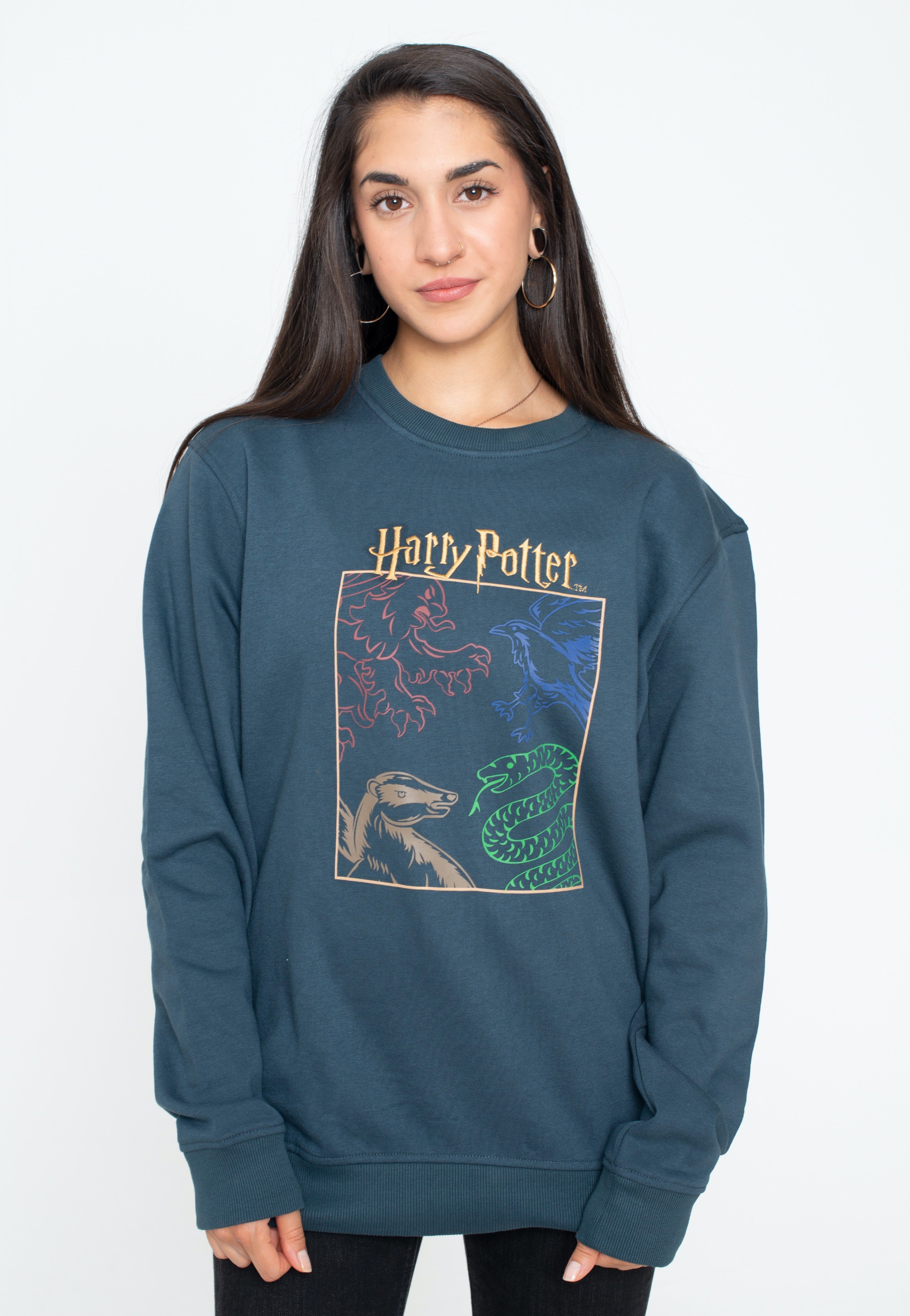 Harry Potter - Houses - Sweater 2025 Cheap Pice