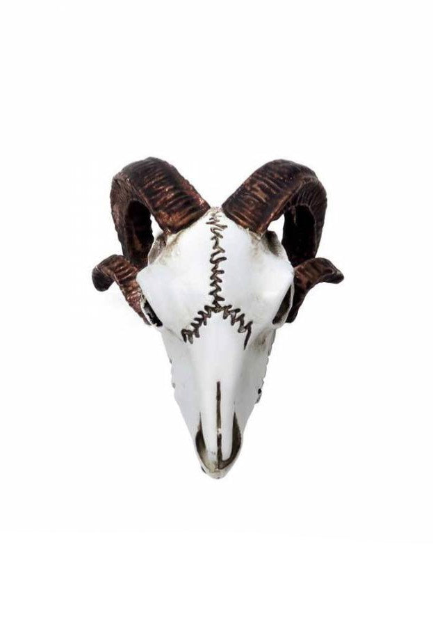 Alchemy England - Rams Skull Miniature - Statue Amazon Online