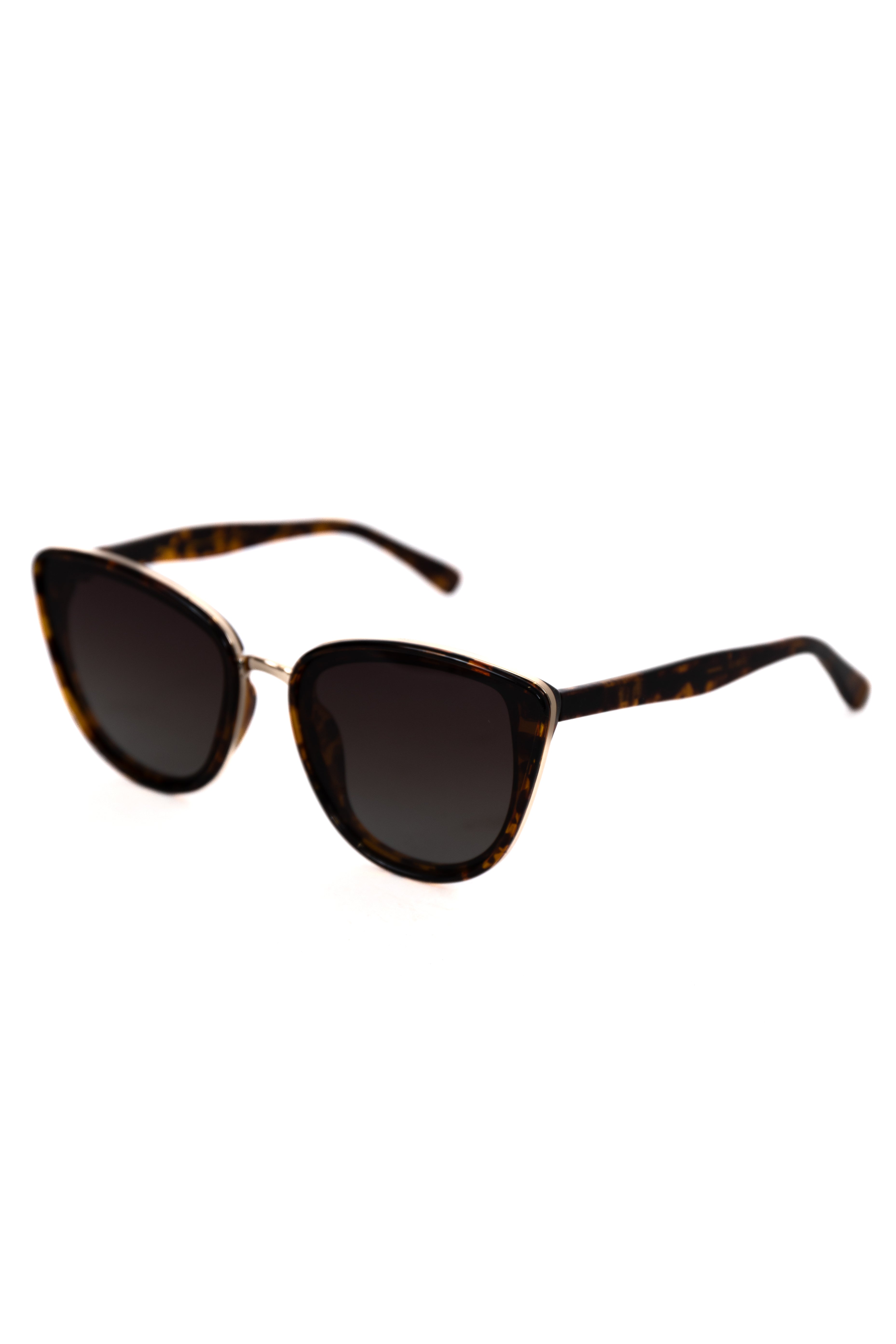 Aria Brown Tortoise Sunglasses FINAL SALE Discount Many Kinds Of