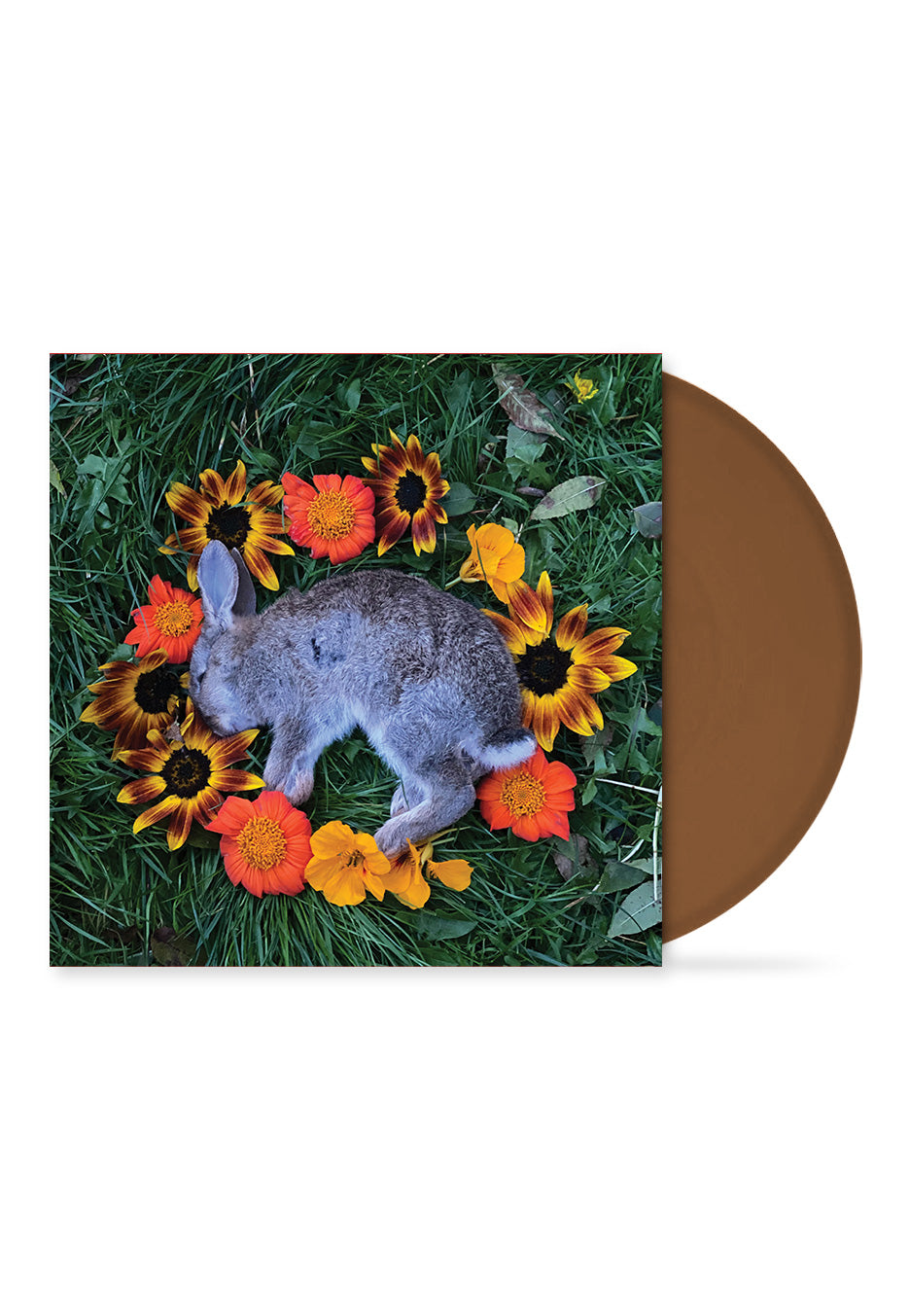 Monolord - Your Time To Shine Ltd. Brown - Colored Vinyl Free Shipping Exclusive