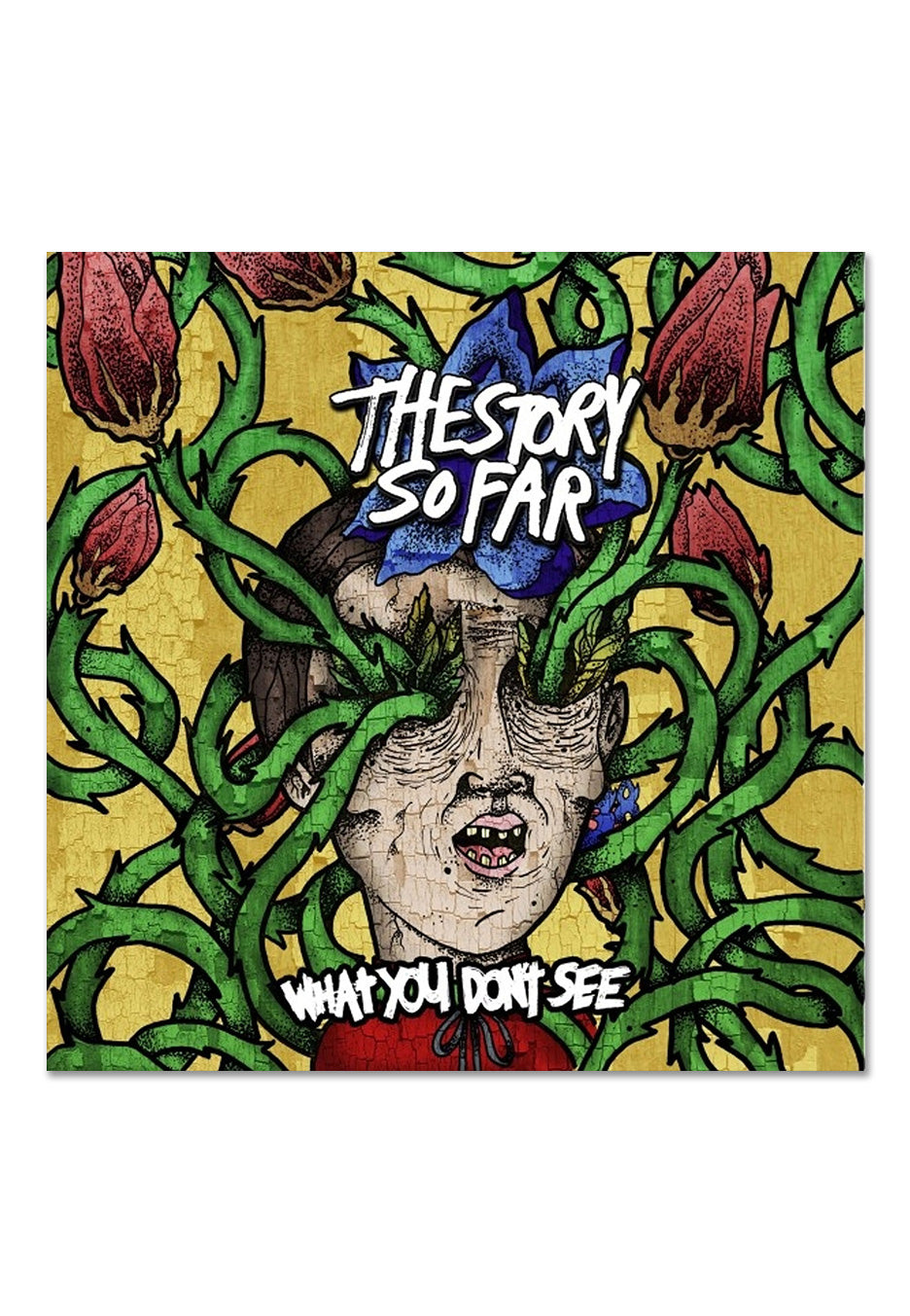 The Story So Far - What You Don't See Ltd. Tide Pod - Marbled Vinyl