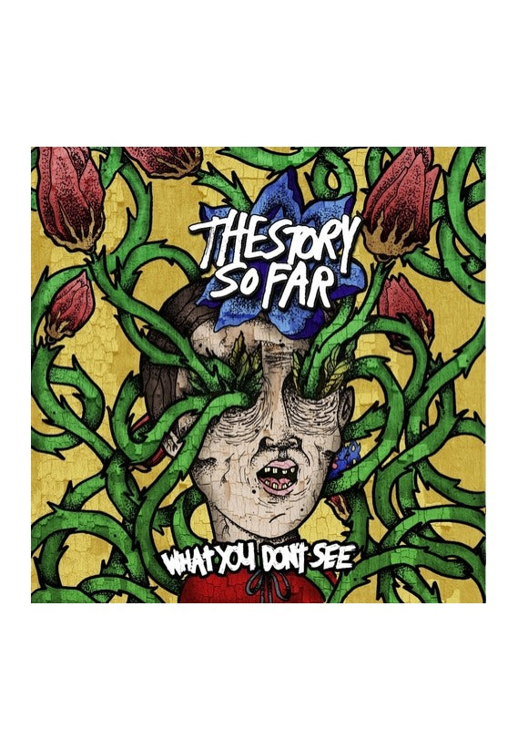 The Story So Far - What You Don't See - CD