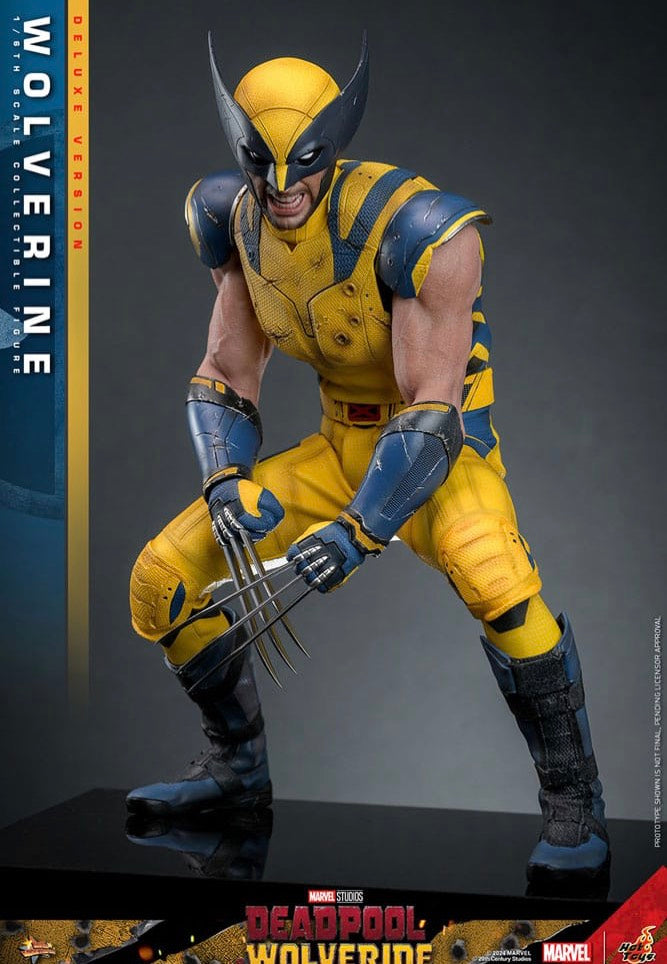 Wolverine - Wolverine (Deluxe Version) 1/6 Movie Masterpiece - Figure Clearance Cost