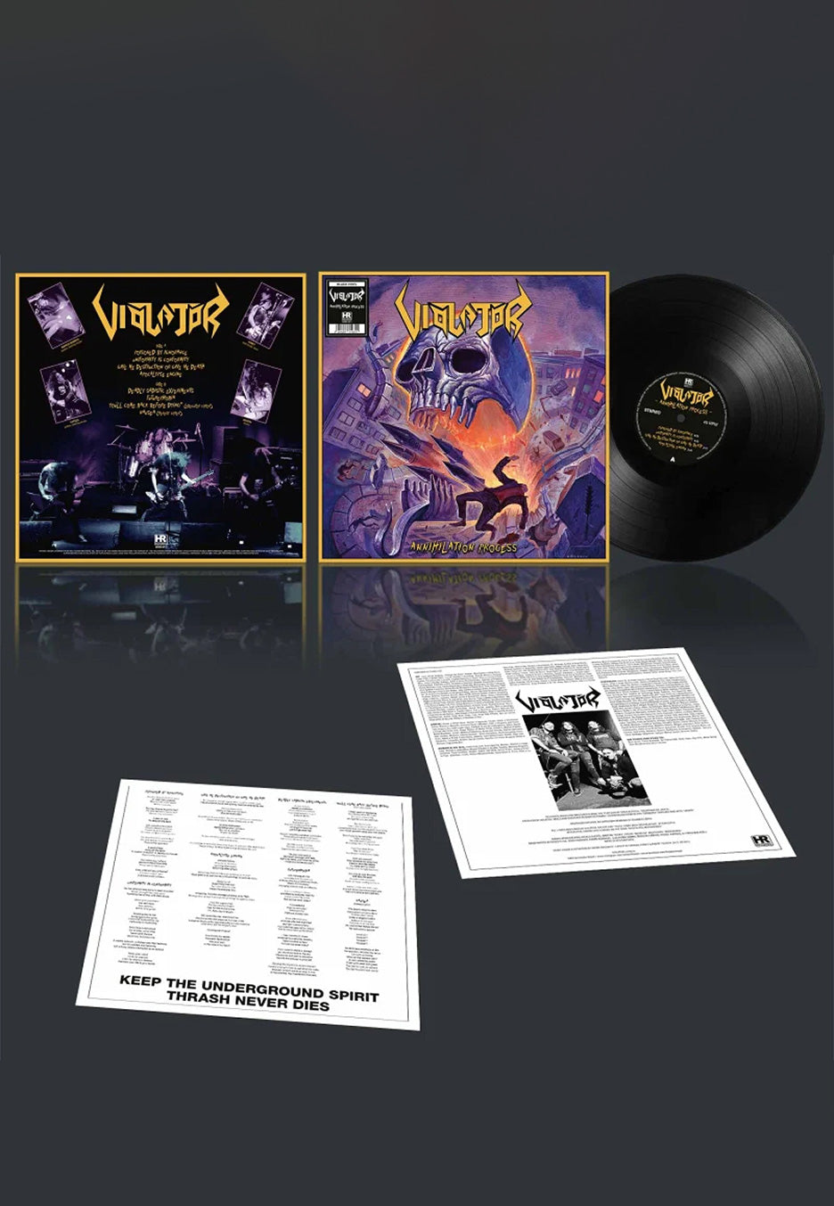 Violator - Annihilation Process - Vinyl Official Site Cheap Online